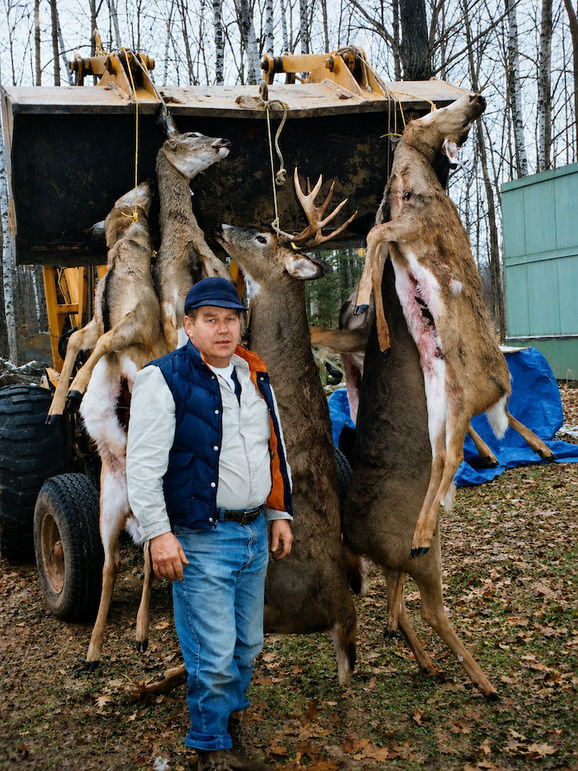 Deer 11
