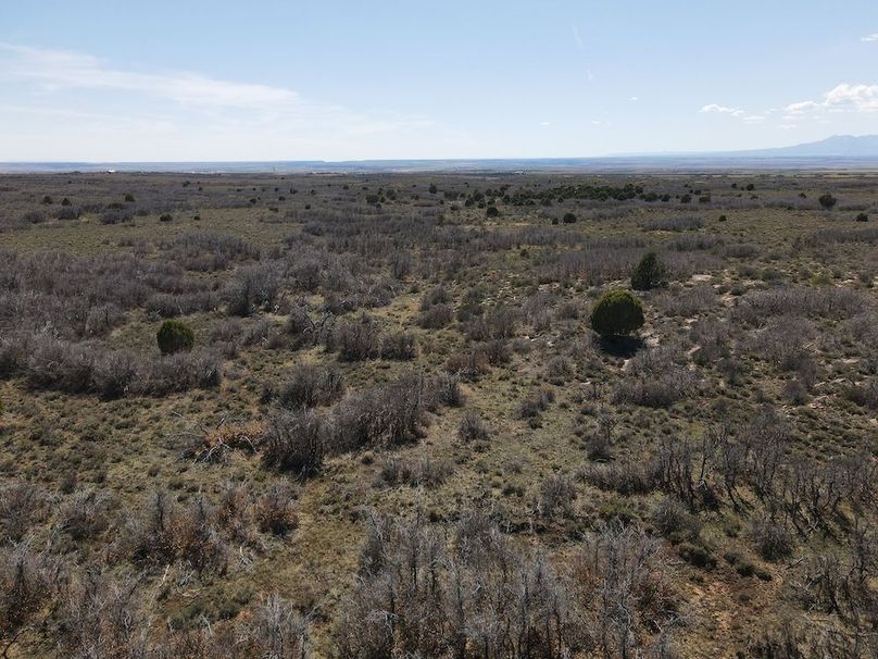 DJI_0009