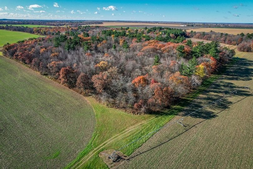 Portage 150.81 JMJK Prop-61