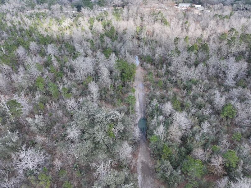 dji_fly_20260212_140212_0048_1771284245893_photo