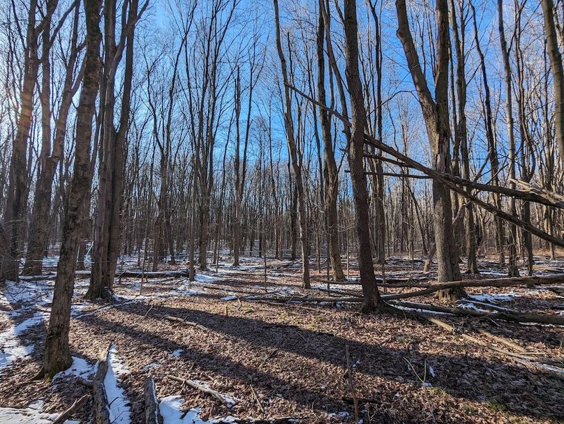 PXL_20240229_211448011