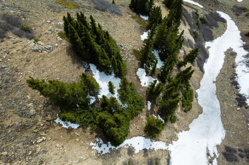 Lake 51.63 - 014 Pine Benches