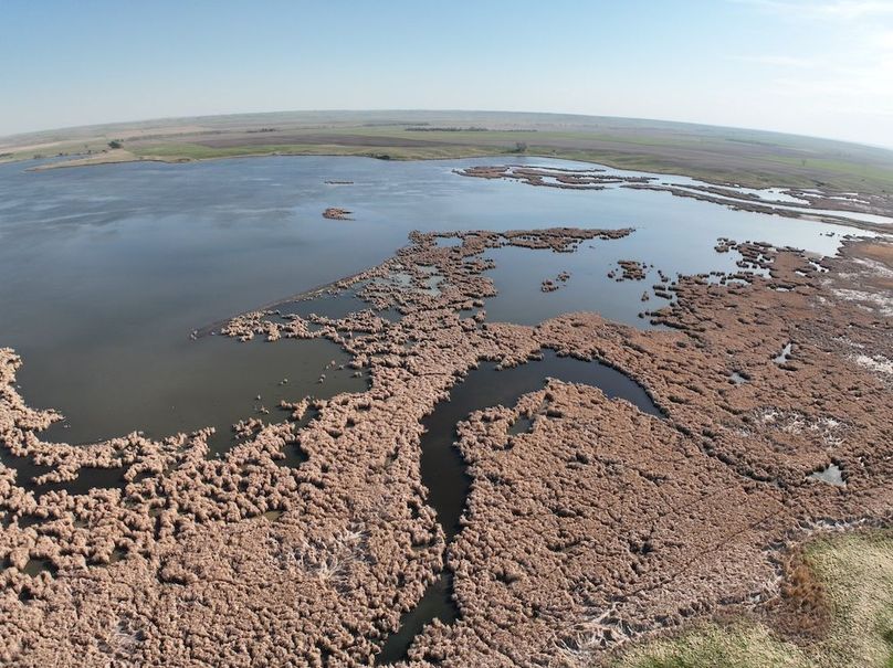 Game_Production_Area(2)