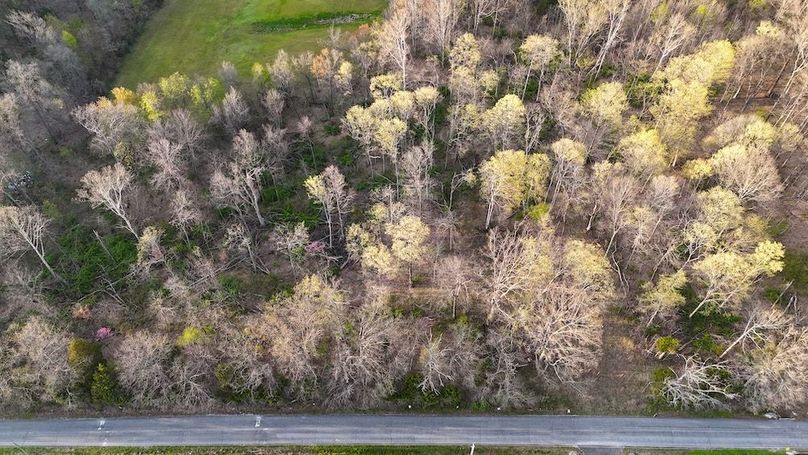 DJI_20250411192914_0308_D