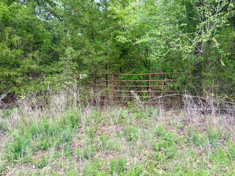 D46558A7-E077-4F4B-84F6-561CDF279906_1_105_c