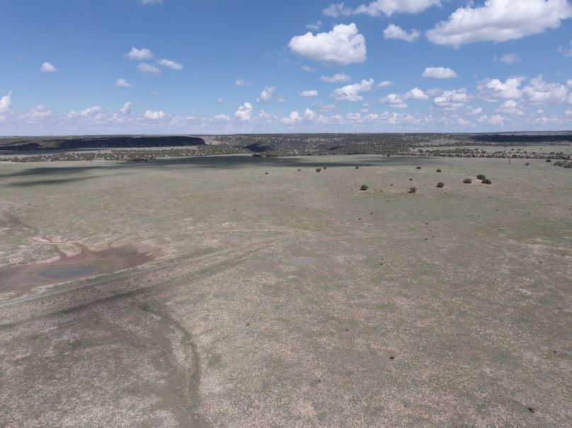 DJI_20250508153622_0021_D