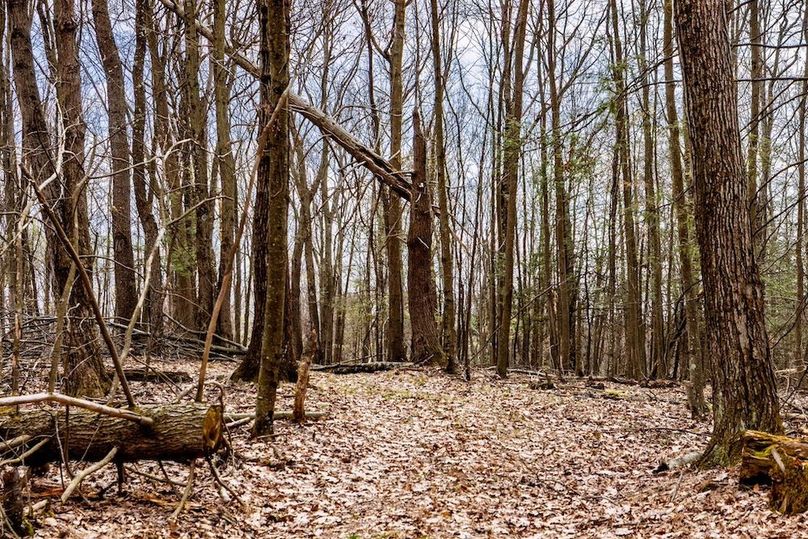 15-web-or-mls-IMG-15