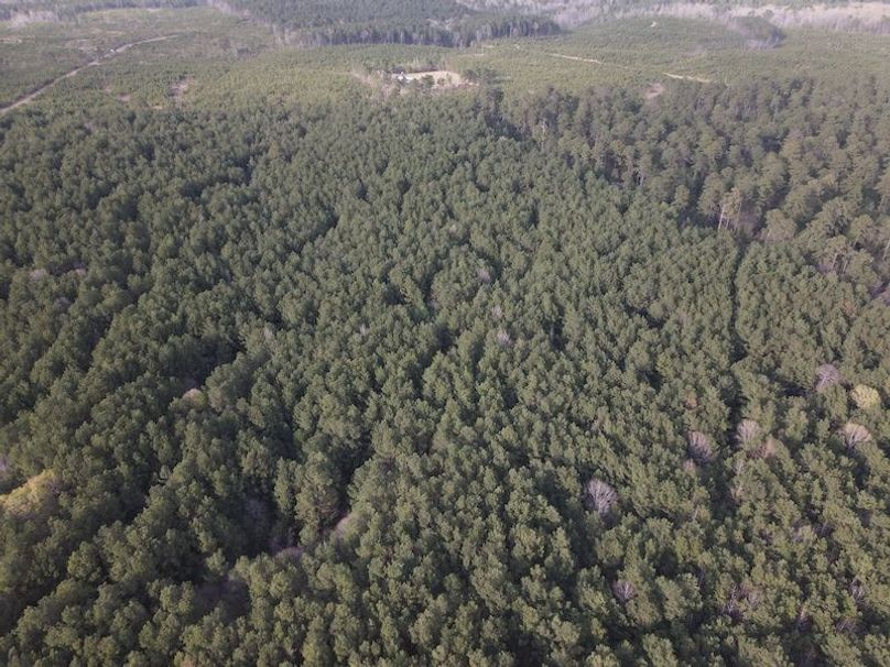 DJI_0109