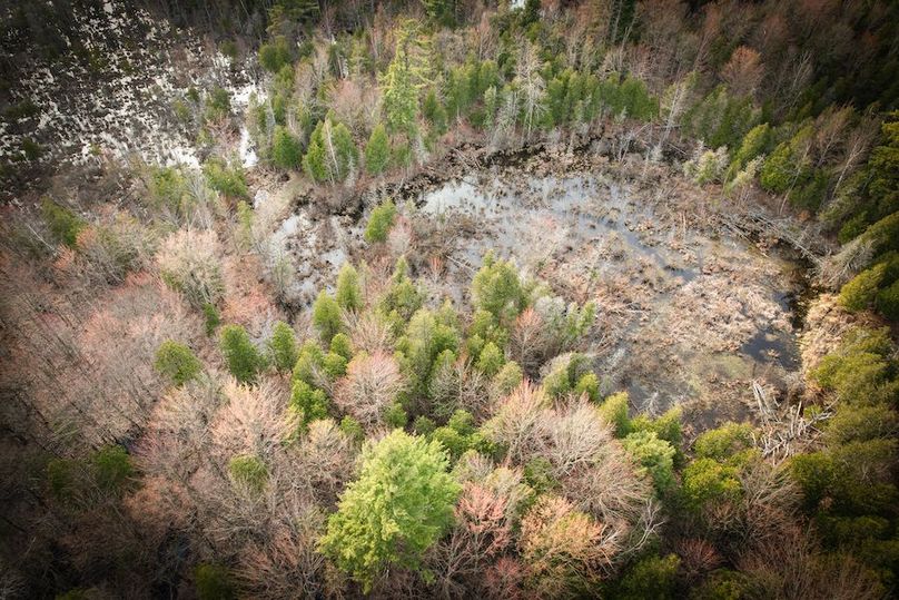 StLawrence_142.7_Bosse_Photos_40