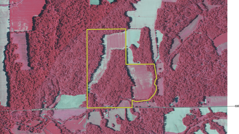 Screenshot 2025-08-07 082451