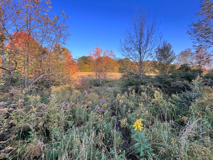 Tioga_47.3_Van Nostrand Photo 43