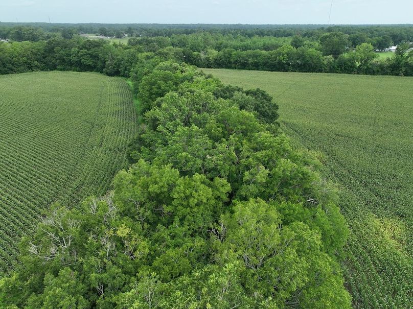 dji_fly_20240620_102434_551_1718899035045_photo