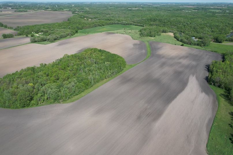 dji_fly_20260528_105548_363_1779984263662_photo