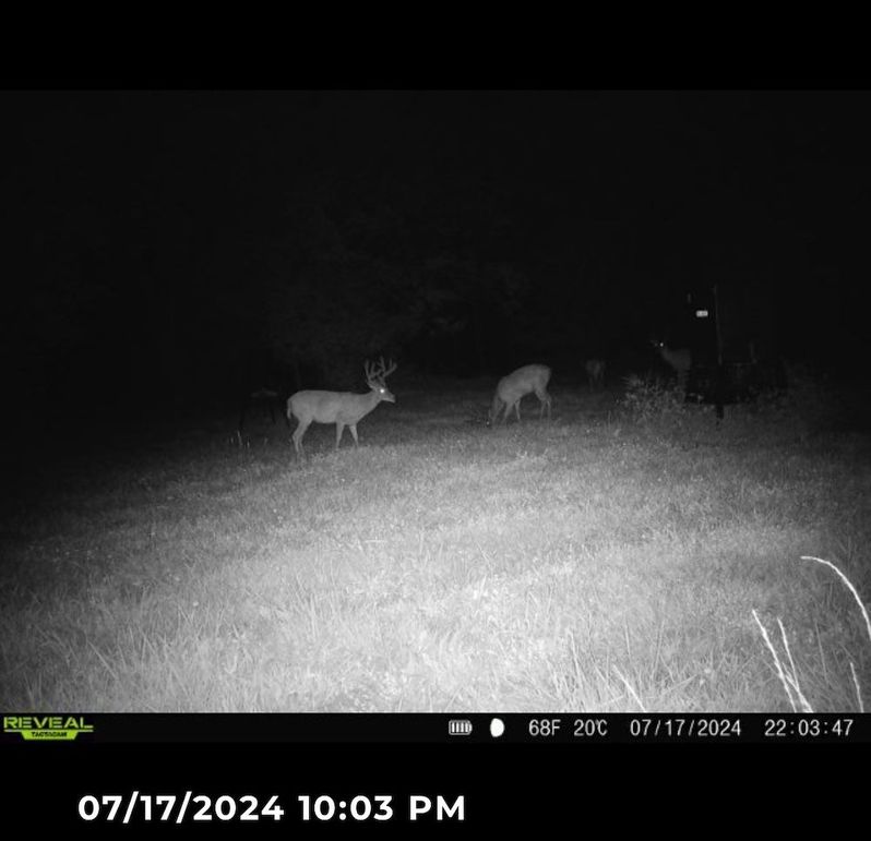 Trail Cam 1