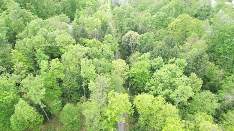 dji_fly_20250515_112510_218_1747322834219_photo
