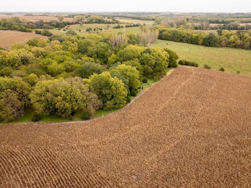 DJI_20251011102142_0148_D