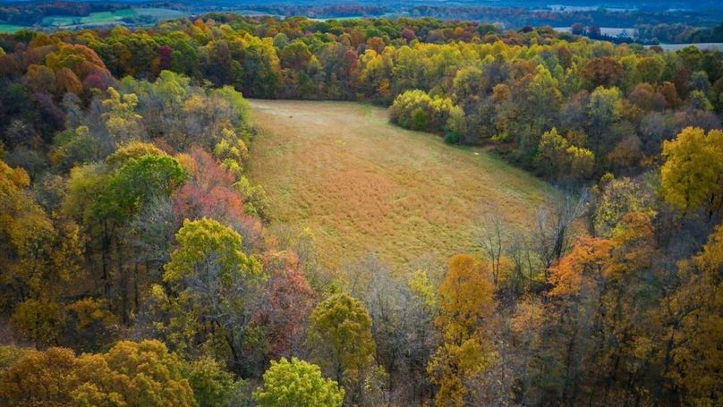 11-zj 5198 McKinney Xing009