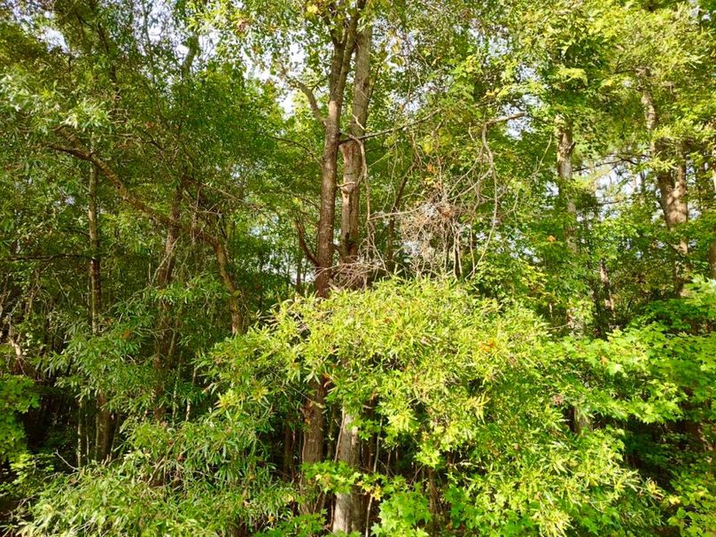 IMG_20250914_164107742_HDR