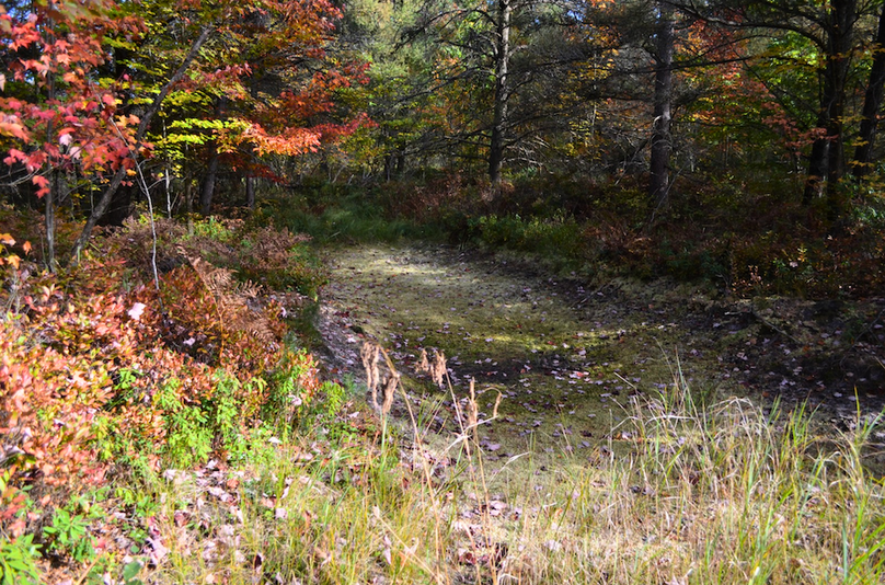 Screenshot 2025-11-14 at 11.23.22 AM