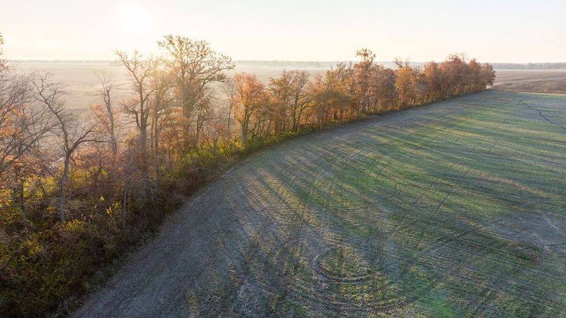 Copy of DJI_20241129074053_0010_D