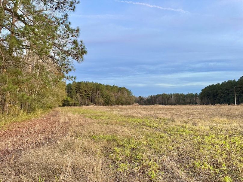 E9216E87-C344-414D-A814-6FDCC4CC3763