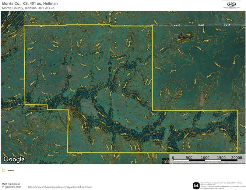 Morris 401 Topo copy