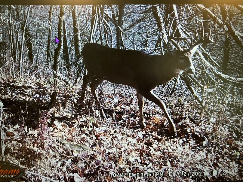 71008662581__1D894F56-732A-40B2-81B5-ECEE0E4F7555