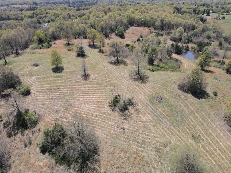 DJI_0253