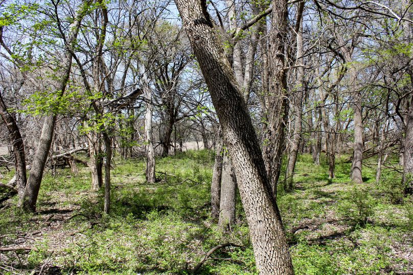 Republic, KS, 232.11_032