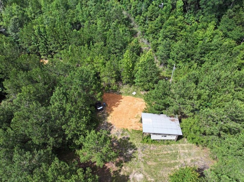 dji_fly_20250612_102022_0110_1750261383212_photo