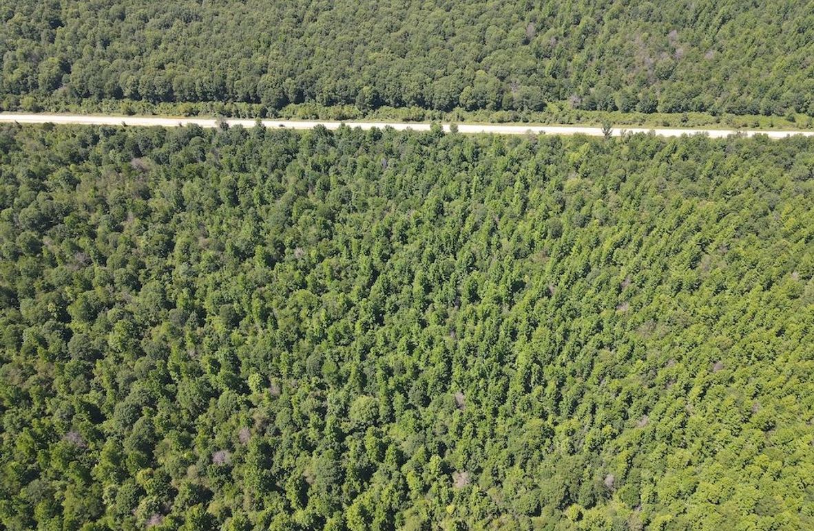 dji_fly_20240614_145836_169_1718395141752_photo 2