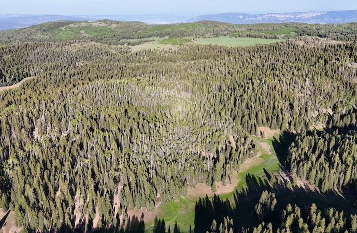 DJI_20250613191245_0017_D