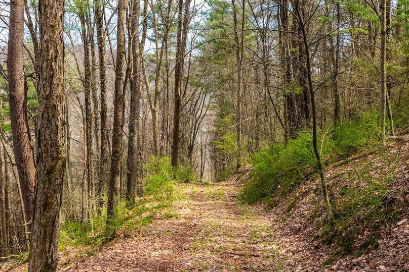 56-web-or-mls-IMG-56