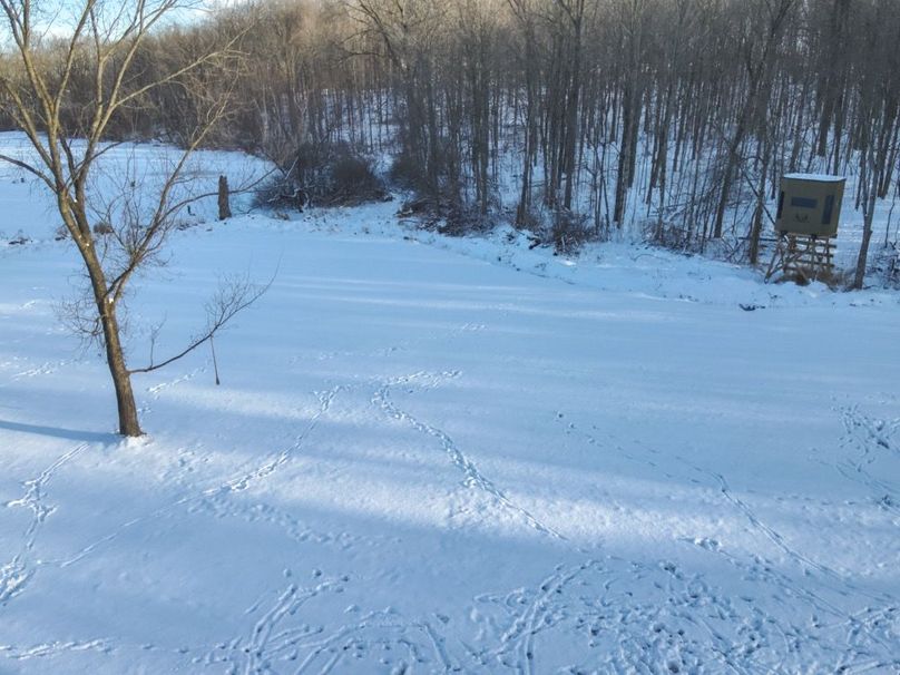 22 Foodplot Secluded SE View Low