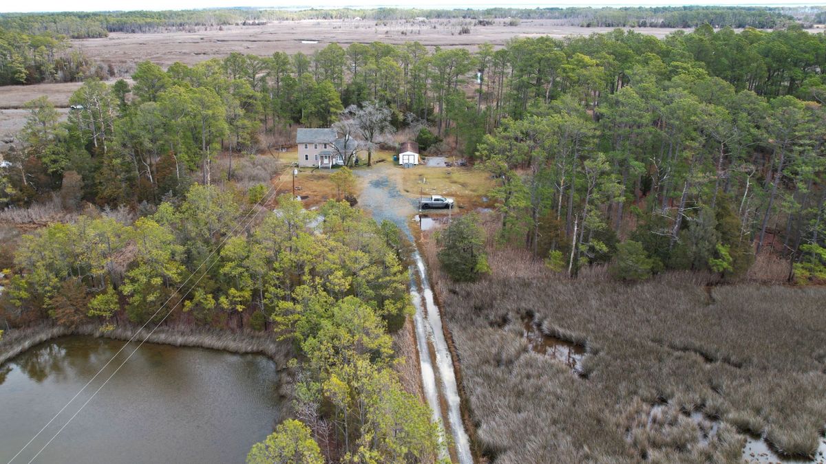 Classic Sika And Waterfowl Hunting Property With TurnKey House