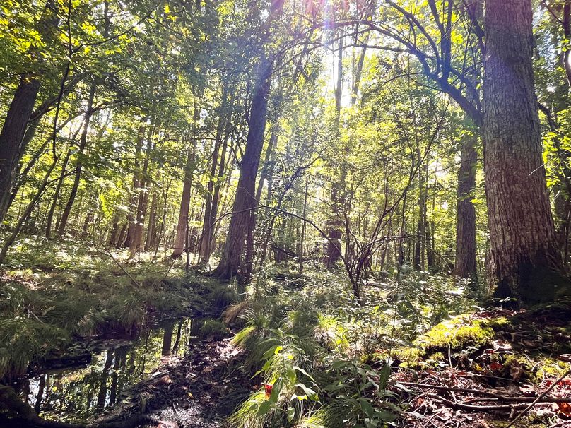 Tompkins_55.05_Hildreth_Photos_26