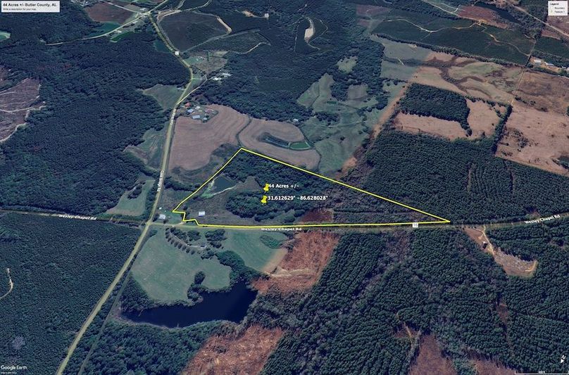 Aerial #4 Approx. 44 Acres Butler County, AL