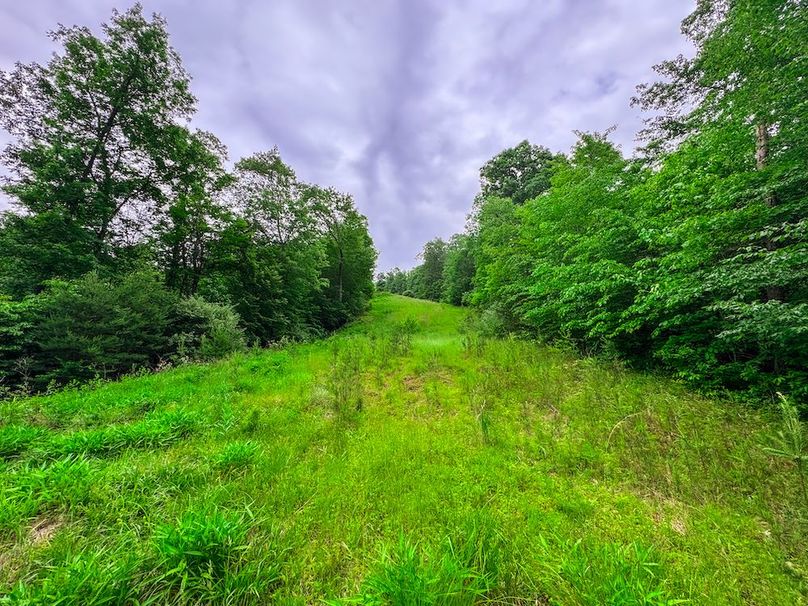 Tyler, WV 313.87 AC -50