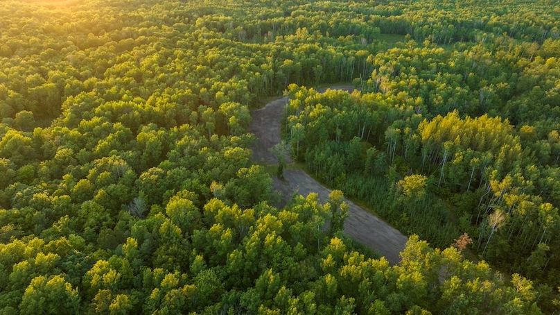 Cass MN 1095 Featured ProPhoto-106