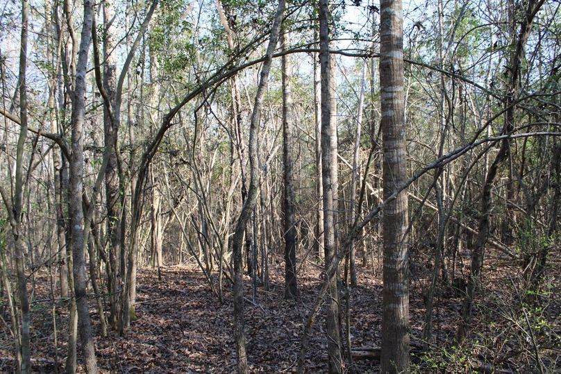 45EDBB61-DF4A-4A2C-B931-A05544E26197_1_105_c