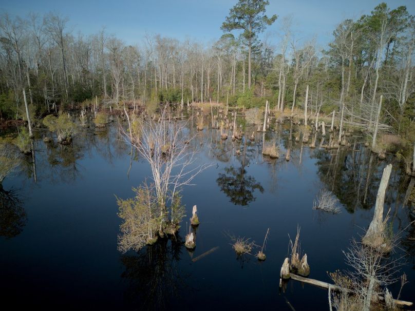 DJI_20240227082707_0016_craven60