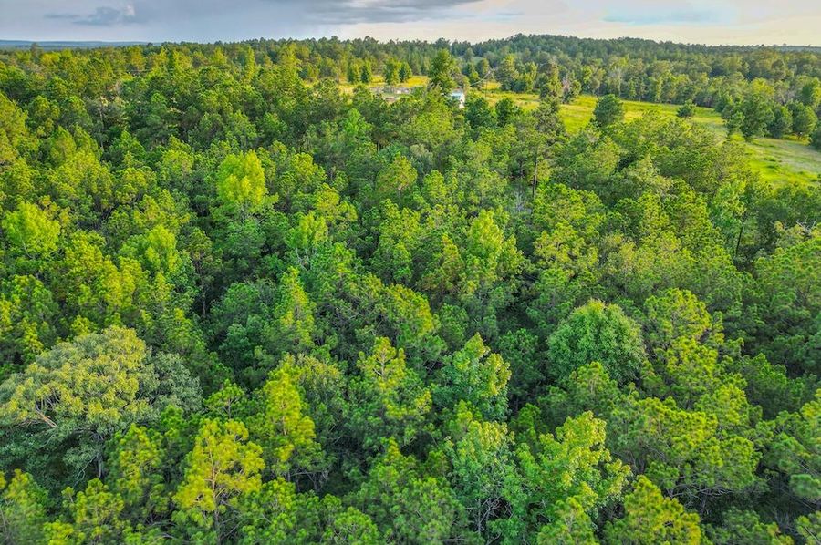 Toledo Bend -102