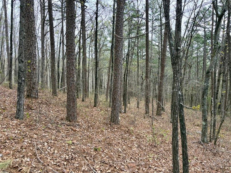 CCDC31BF-B76F-4DAF-B335-7351CF6B1ADB_1_201_a