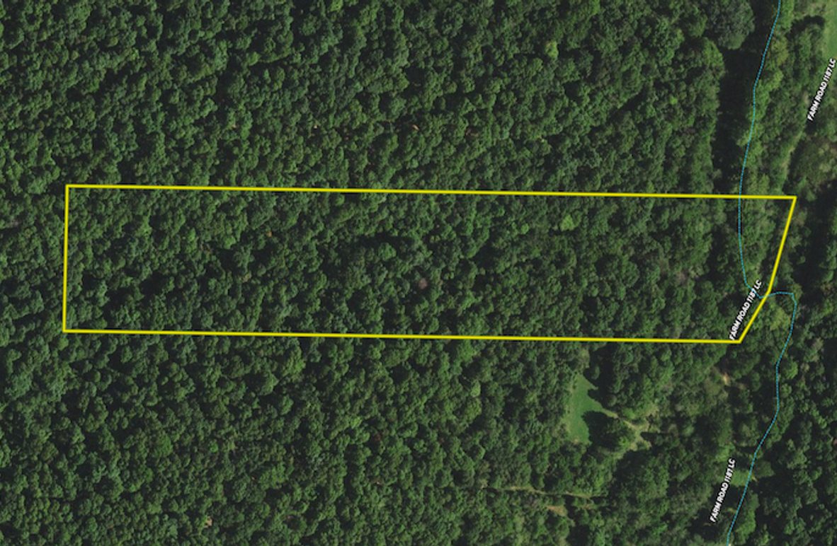 Print Affordable Wooded Land For Sale Near Mount Vernon Whitetail