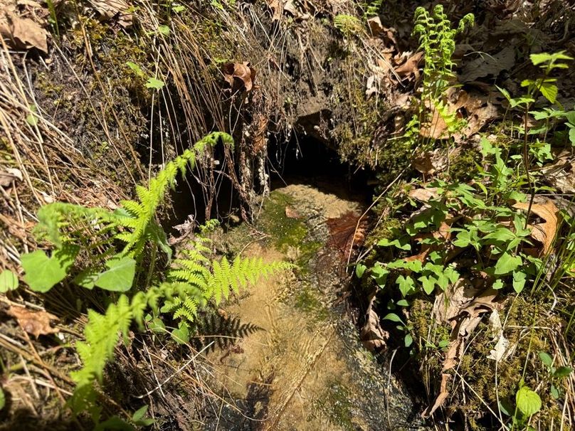 013 and there it is!  A natural spring pouring out of the ground