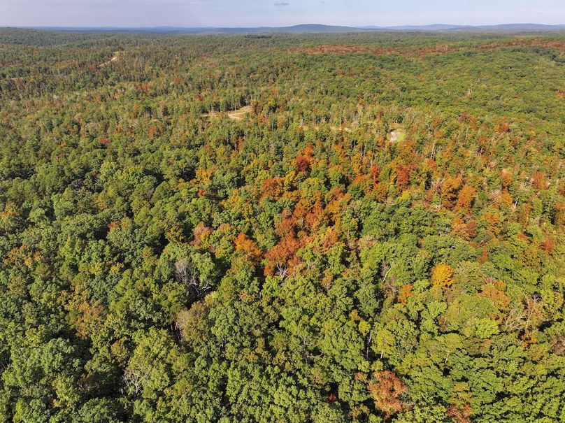 DJI_20250925100356_0698_D