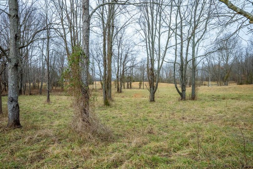 Copy of DSC00712 Large