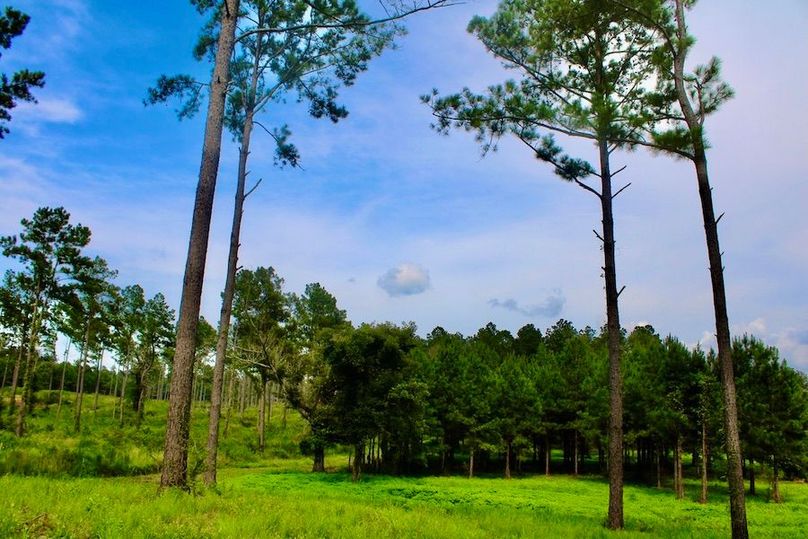 40DCF384-F855-4931-8492-B8C918EAAB13_1_105_c