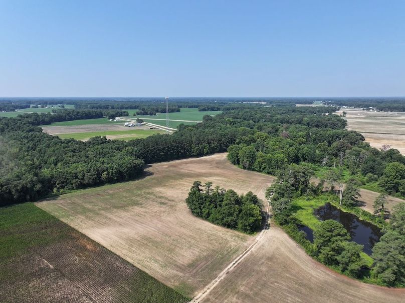 Copy of DJI_20240716105111_0017_D