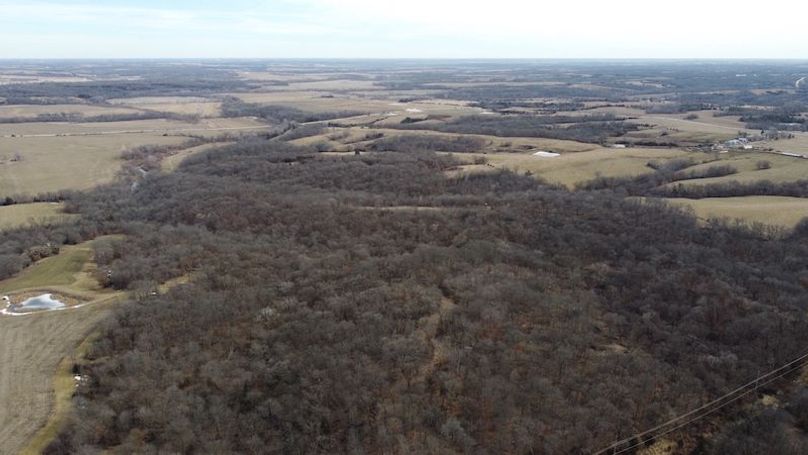 DJI_0632